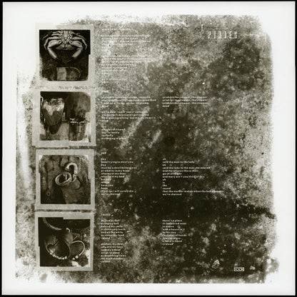 Doolittle - secondary