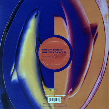Mesmerise - secondary