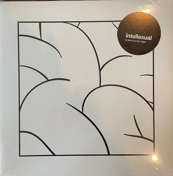 Intellexual - primary