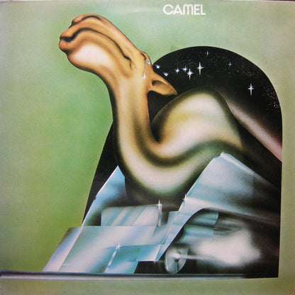 Camel - primary