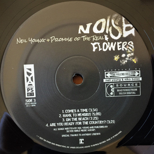 Noise & Flowers - secondary