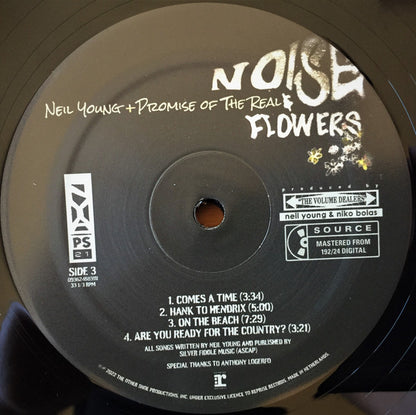 Noise & Flowers - secondary