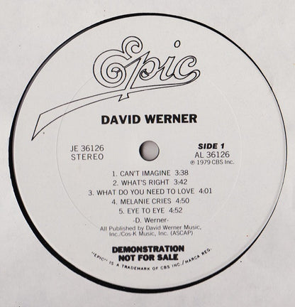 David Werner - secondary