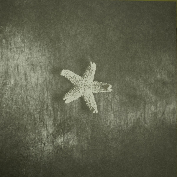 Starfish - secondary
