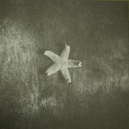 Starfish - secondary