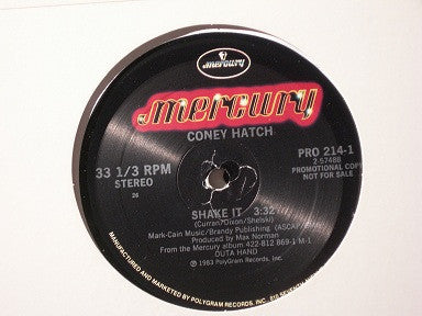 Shake It - primary