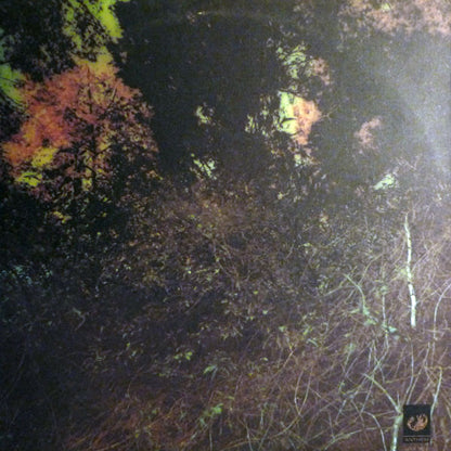 Roots And Branches - secondary