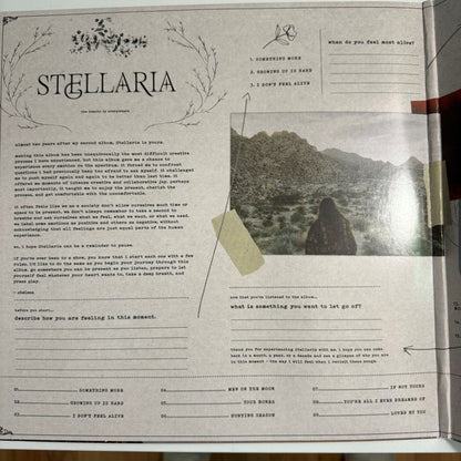 Stellaria - secondary