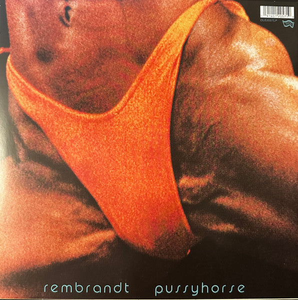 Rembrandt Pussyhorse - secondary