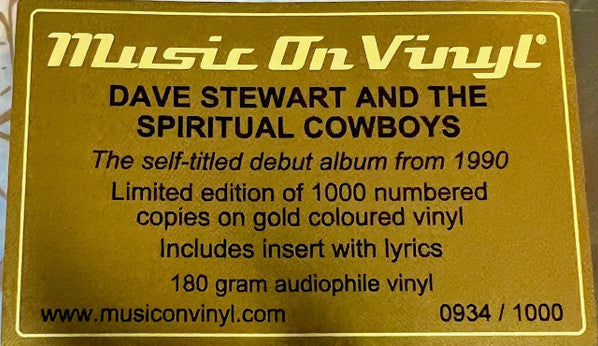 Dave Stewart And The Spiritual Cowboys - secondary