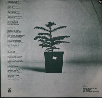Chewing Pine - secondary