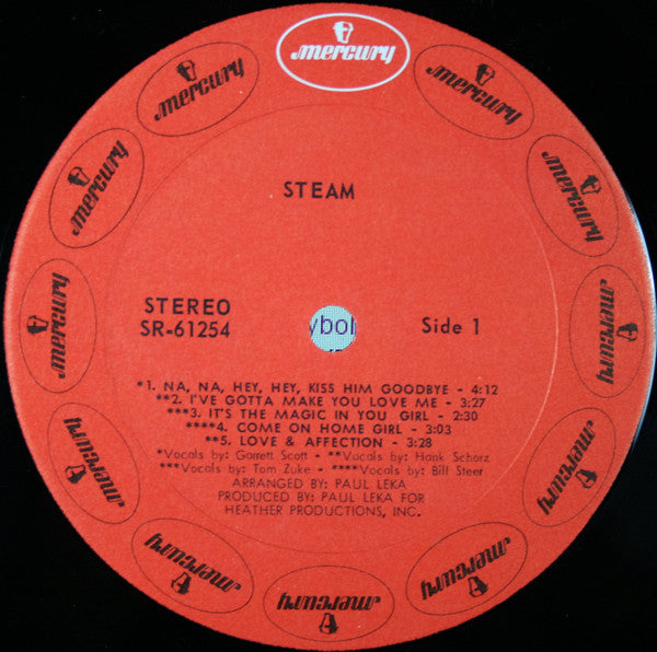 Steam - secondary