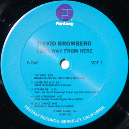 David Bromberg - Long Way From Here