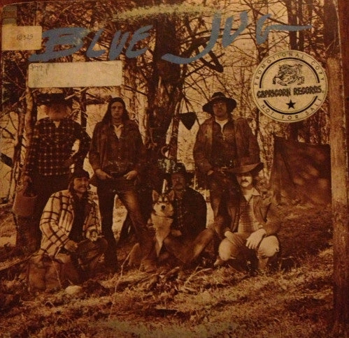 Blue Jug - Blue Jug