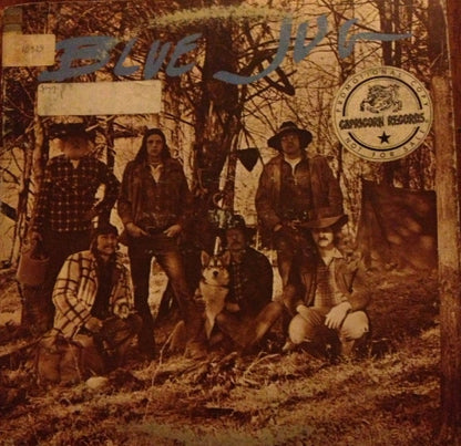 Blue Jug - Blue Jug