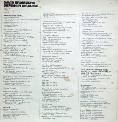 Demon In Disguise - secondary