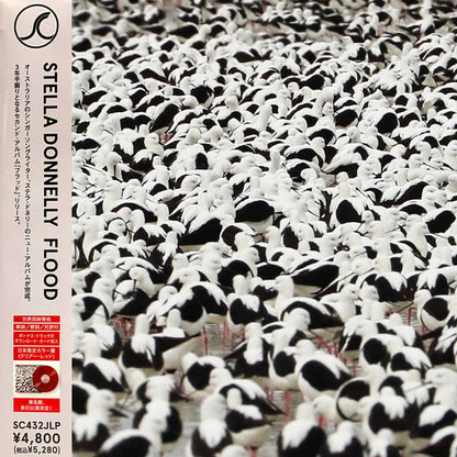 Flood - primary