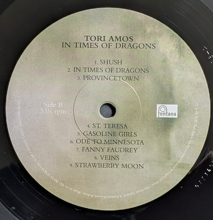 In Times Of Dragons - secondary