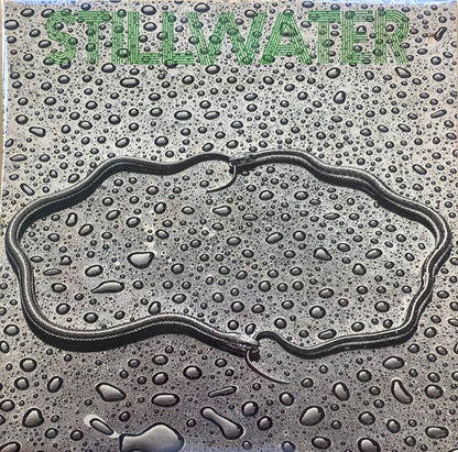 Stillwater - primary
