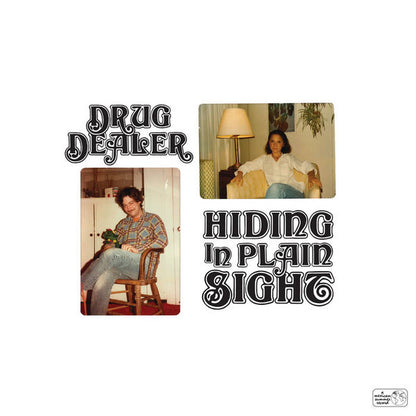 Hiding In Plain Sight - primary