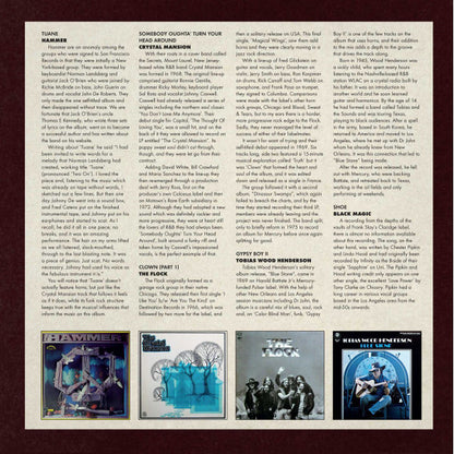 Horn Rock & Funky Guitar Grooves 1968-1974 - secondary