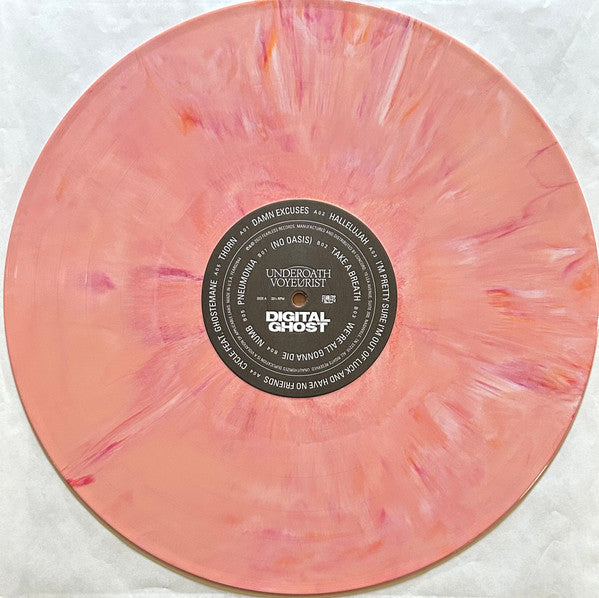 Voyeurist: Digital Ghost - secondary