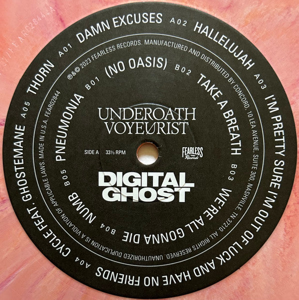 Voyeurist: Digital Ghost - secondary