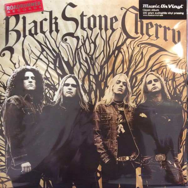 Black Stone Cherry - secondary
