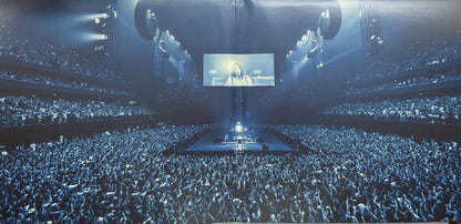 Hit Me Hard And Soft: The Tour (Live) - secondary