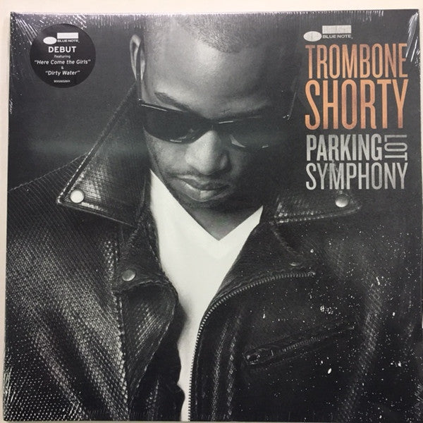 Parking Lot Symphony - primary