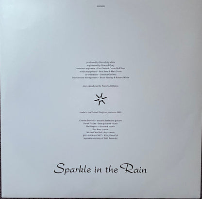 Sparkle In The Rain  - secondary