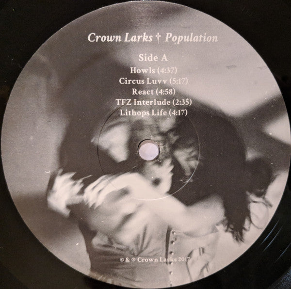 Crown Larks - Population