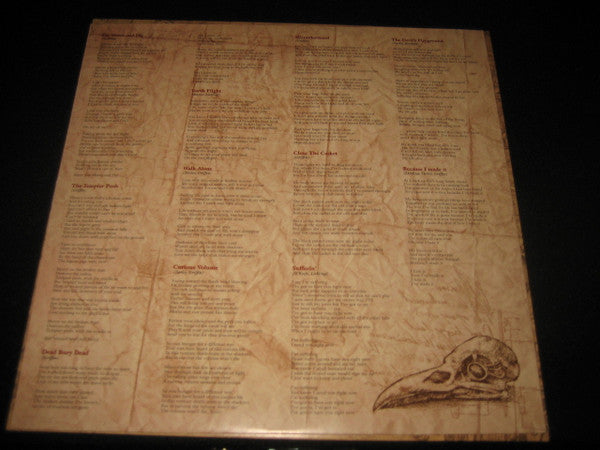 Curious Volume - secondary