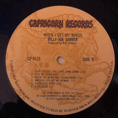 Billy Joe Shaver - When I Get My Wings