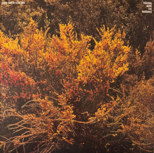 Tracing Back The Radiance - primary