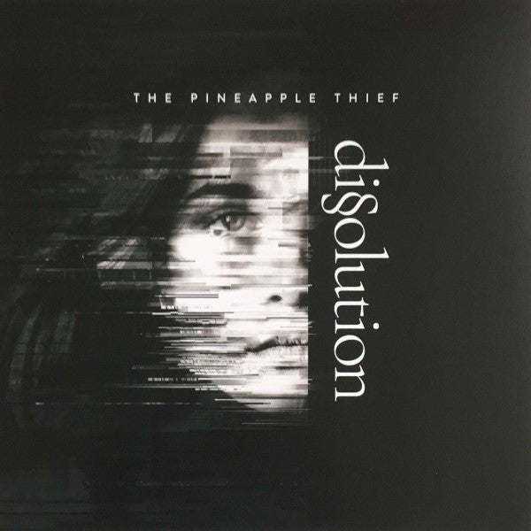 Dissolution - primary