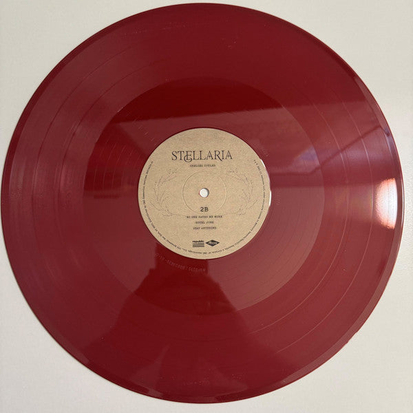 Stellaria - secondary