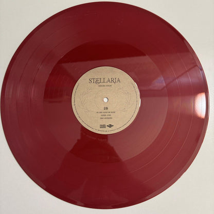 Stellaria - secondary