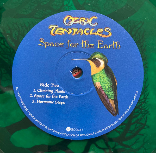 Space For The Earth - secondary