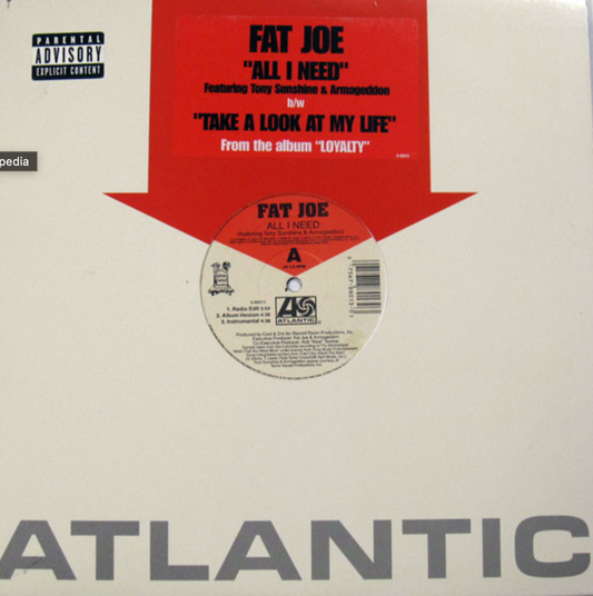 12": Fat Joe - All I Need