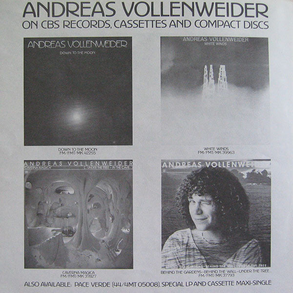 Andreas Vollenweider - Down To The Moon