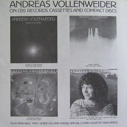 Andreas Vollenweider - Down To The Moon