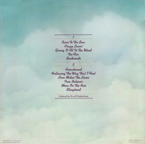 The Ozark Mountain Daredevils - Don't Look Down