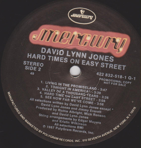 David Lynn Jones - Hard Times On Easy Street