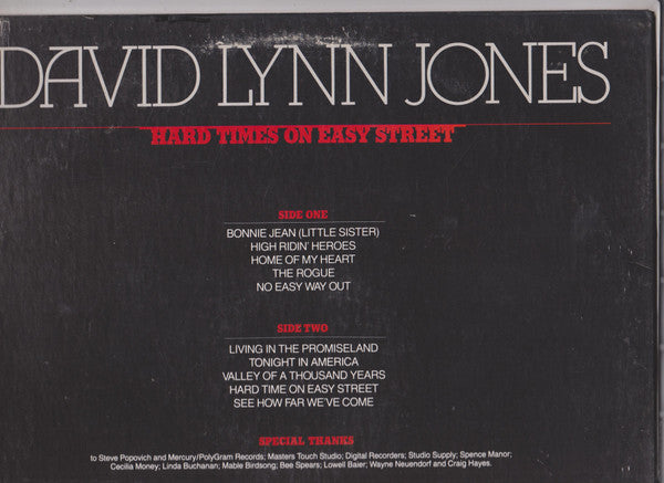 David Lynn Jones - Hard Times On Easy Street