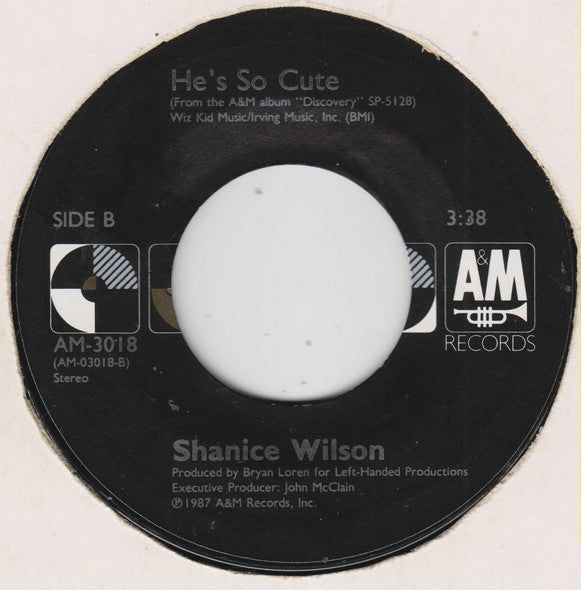 7": Shanice Wilson - The Way You Love Me