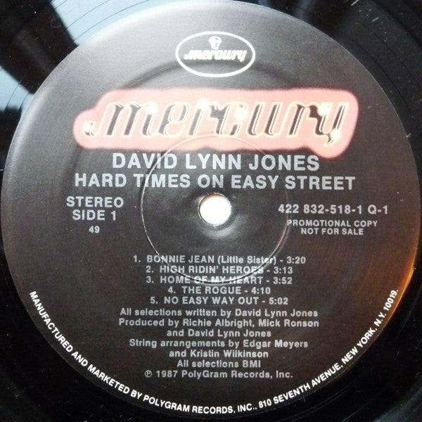 David Lynn Jones - Hard Times On Easy Street