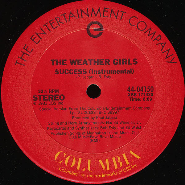 12" Single: The Weather Girls - Success