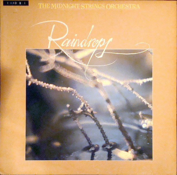 The Midnight Strings Orchestra - Raindrops