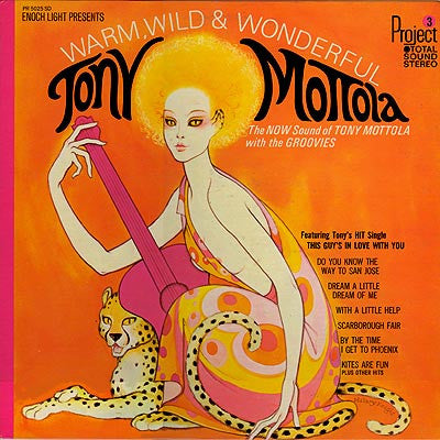 Tony Mottola, The Groovies - Warm, Wild & Wonderful